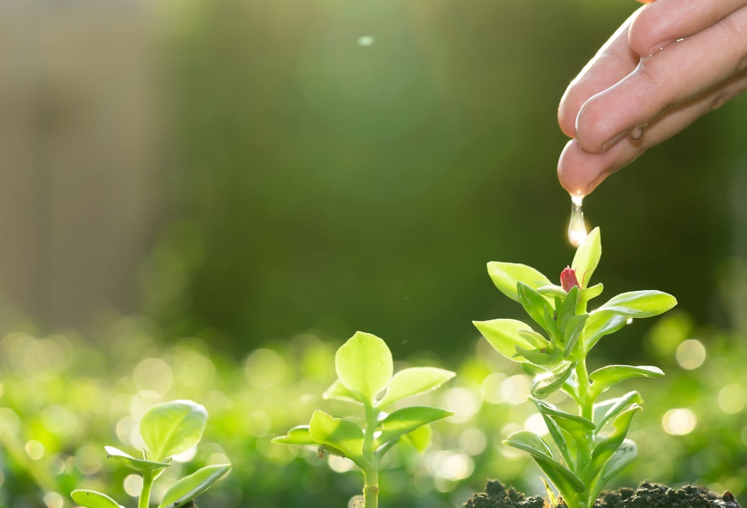 Gestione idrica migliore per aumentare la produzione agricola