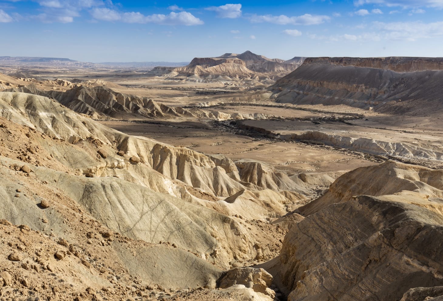 Irrigazione a goccia: così Israele nel deserto non resta senz'acqua