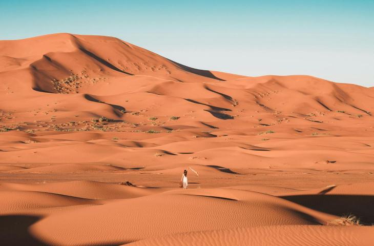 Great Green Wall cos'è e perché è importante