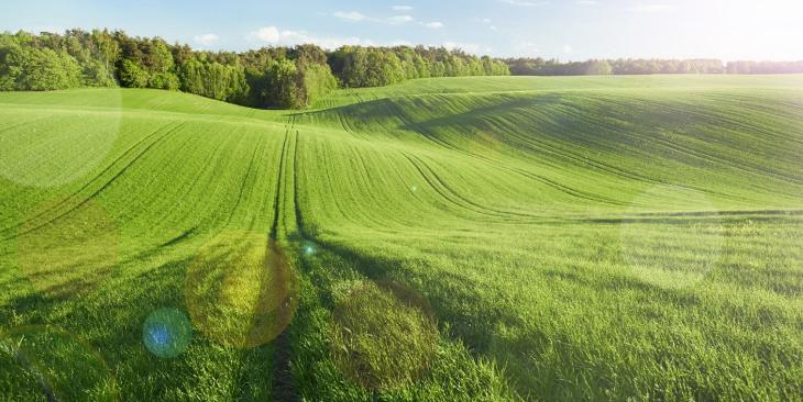 Le parole più usate nel 2024 legate a clima ed ambiente