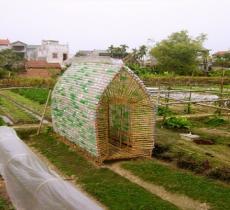 Vegetable Nursery Home