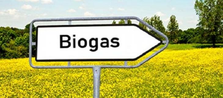 Svizzera: lavori per un impianto a biogas targato Nestlé Waters