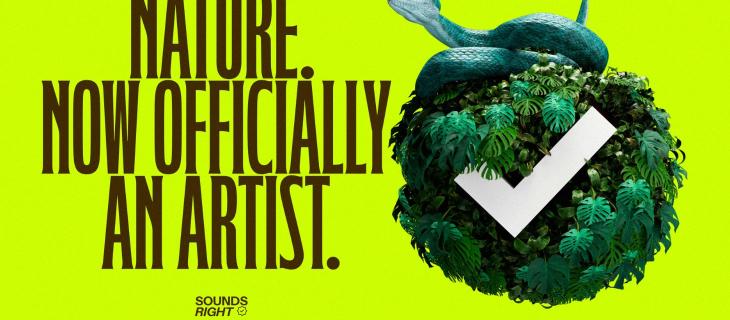 Sounds Right: l’iniziativa che unisce musica e Natura