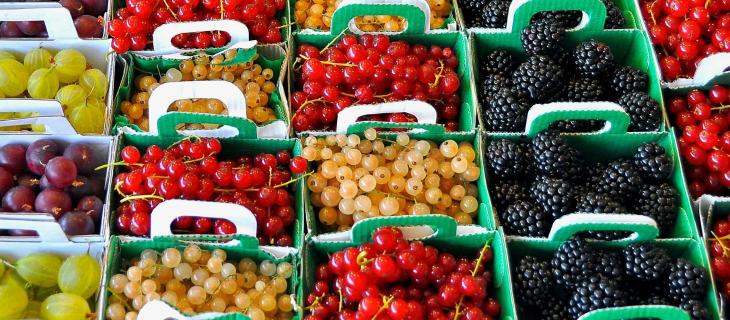 Spesa in estate: la frutta e la verdura di stagione