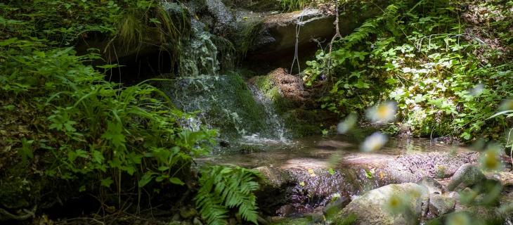 Creare un impatto idrico positivo rigenerando i cicli idrologici locali, l’impegno di Nestlé Waters