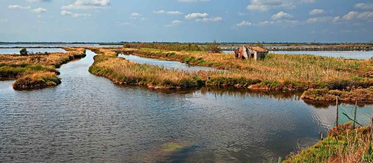 Delta del Po, nuovo tipo di vigilanza ambientale con l’utilizzo di droni - In a Bottle