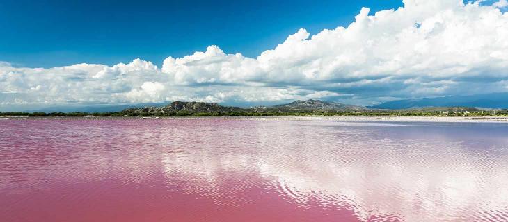 Lago di Colore Rosa: il Lago Retba si Trova in Africa – In a Bottle