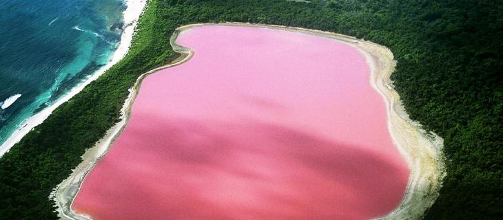 Lake Hillere, il fiabesco lago rosa australiano alt_tag