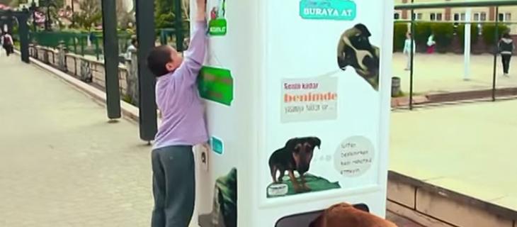 Smart Recycling Boxes for Cats and Dogs | In a Bottle