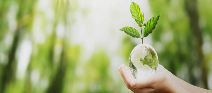 Detersivi ecologici, ma anche cosmetici naturali: la svolta “green” di Teanatura - In a Bottle