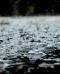 Raccolta dell’acqua piovana in ambito urbano: sistemi e benefici Raccolta dell’acqua piovana in ambito urbano: sistemi e benefici