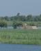 Acquaponica: una soluzione sostenibile che unisce agricoltura e risparmio d’acqua Acquaponica: una soluzione sostenibile che unisce agricoltura e risparmio d’acqua
