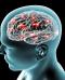 Scoperta una proteina nel cervello che attiva lo stimolo della sete Scoperta una proteina nel cervello che attiva lo stimolo della sete